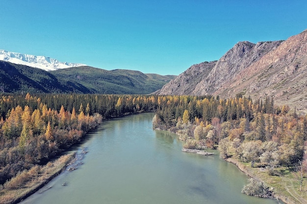 landscape altai russia, autumn top view, drone over the forest