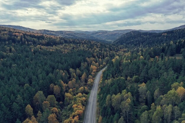 landscape altai russia, autumn top view, drone over the forest