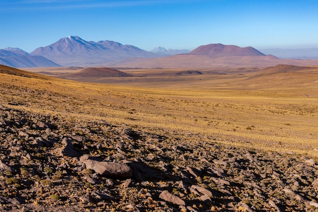 Landscape of the altiplano Atacama Desert Chile