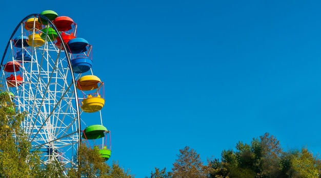 Landscape of an amusement park with the top of a Ferris wheel showing above the tree tops against a blue sky