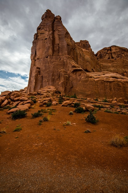 Landscape of arches national park