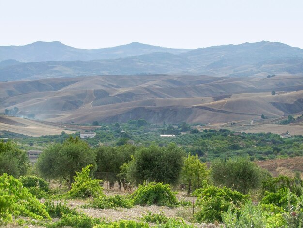 landscape around Agrigento