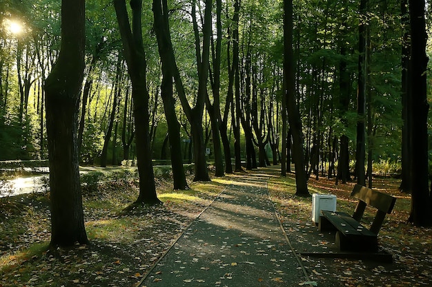 가을 공원 벤치의 풍경/아름다운 정원 벤치, 휴식의 개념, 가을 공원에 아무도 없는, 풍경 배경, 가을