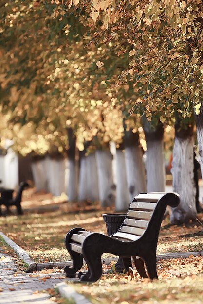 landscape in autumn park bench / beautiful garden bench, concept of rest, nobody in autumn park, landscape background, fall