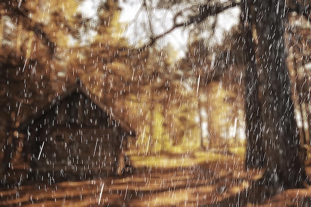 landscape autumn rain drops splashes in the forest background, october weather landscape beautiful park