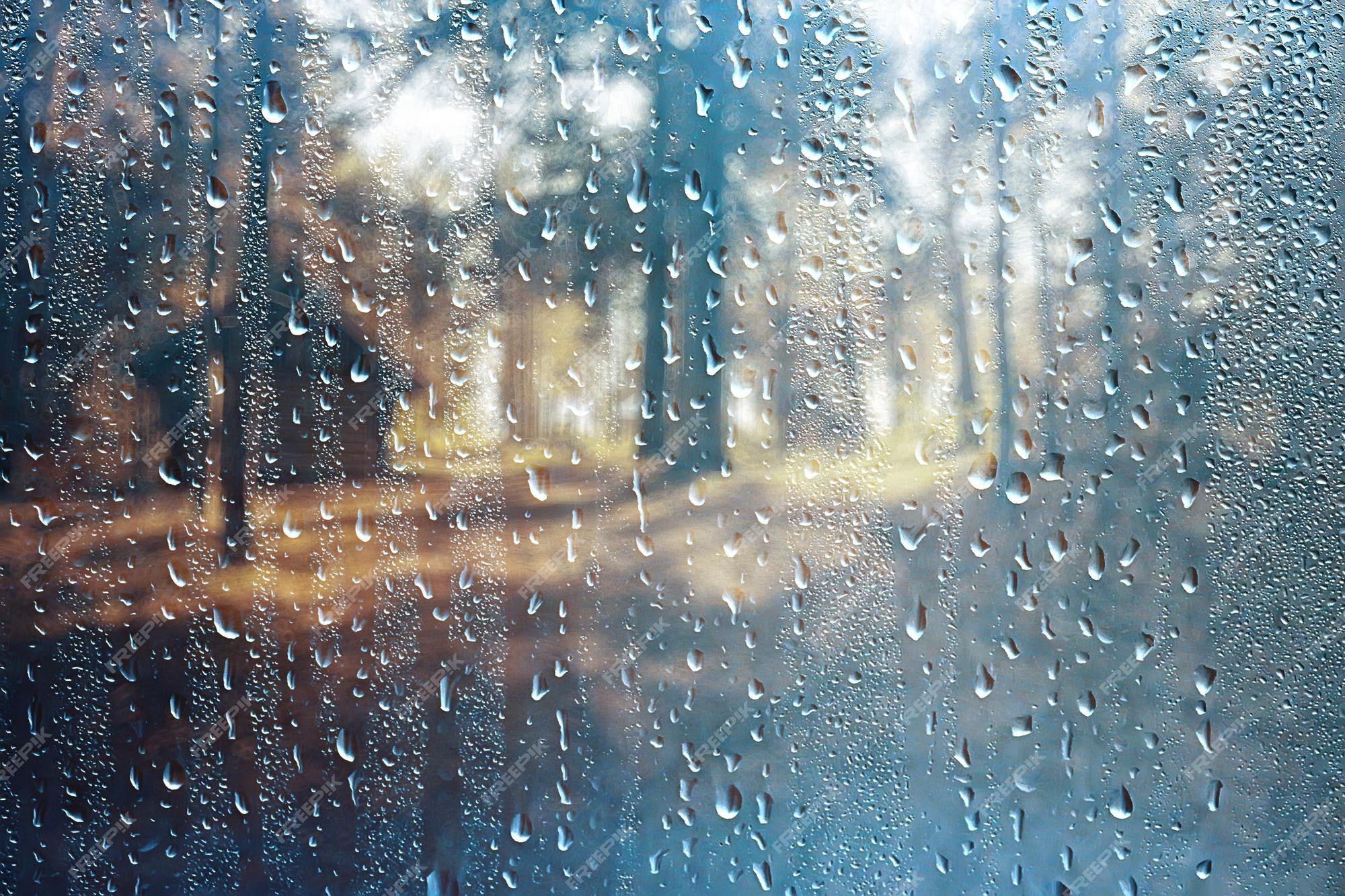 Premium Photo | Landscape autumn rain drops splashes in the forest background, october weather landscape beautiful park Premium Photo | Landscape autumn rain drops splashes in the forest background, october weather landscape beautiful park