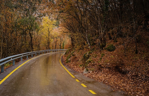 雨の日の道のりの旅と紅葉の風景秋の季節