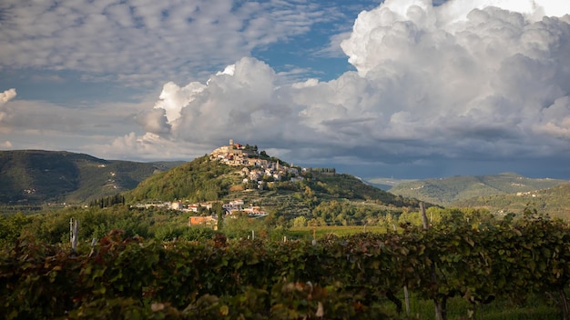 크로아티아 이스트리아(Istria) 모토분(Motovun) 마을까지 가는 가을 포도원의 풍경