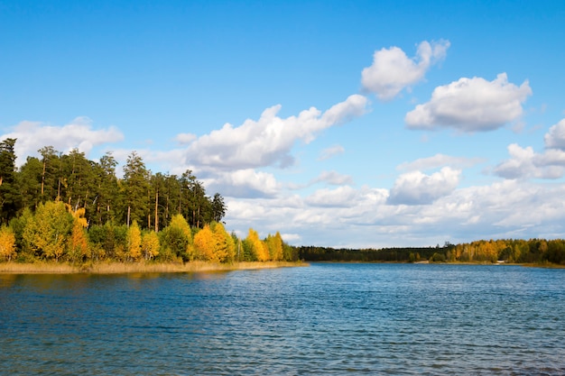 湖の近くの風景紅葉の森