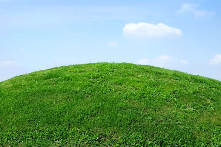 Photo landscape background,green grass and blue sky