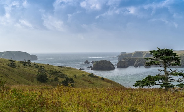 Landscape the bay in Shikotan Island, Kuril Islands.