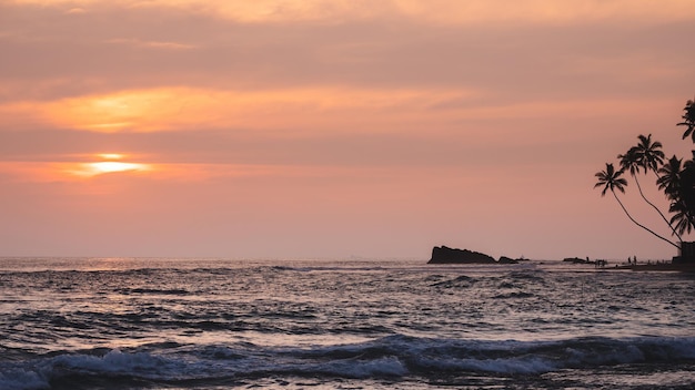 風景。海のビーチ。美しい風景。海とヤシの木。