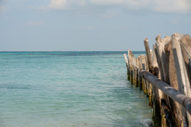 Photo landscape of the beaches of isla mujeres in mexico