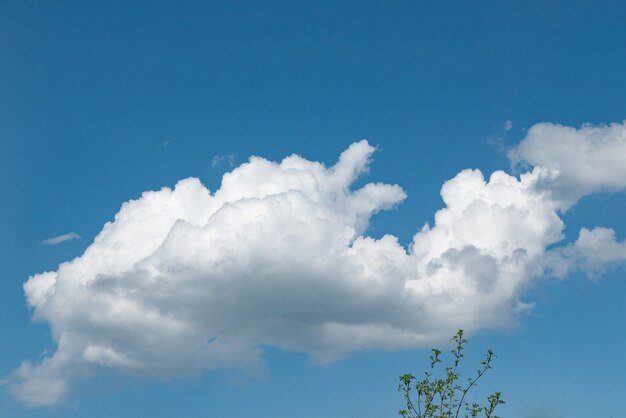 Foto paesaggio di un bel cielo azzurro