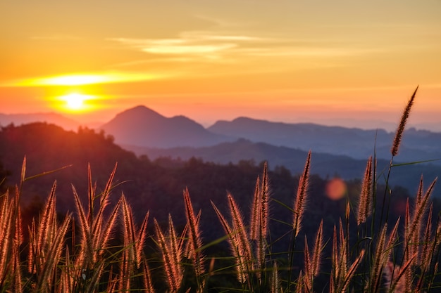 山の美しい夕日の風景