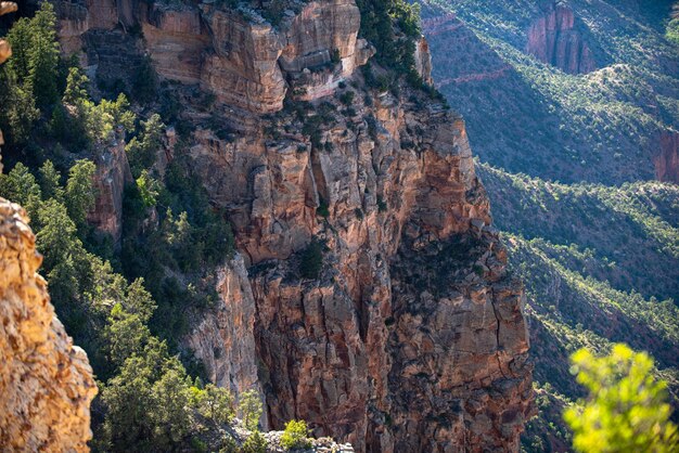 Landscape canyon national park red rocks canyon in utah