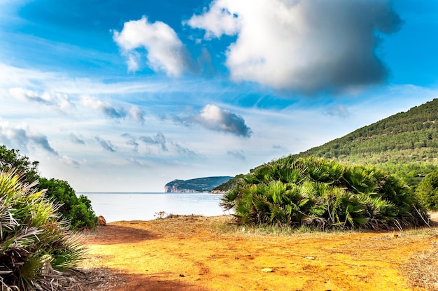 Landscape of Capo Caccia from the coast