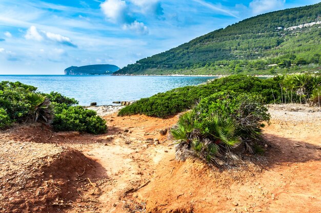 Paesaggio di capo caccia dalla costa