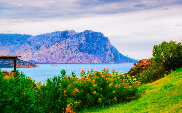 Paesaggio di capo coda cavallo visto da san teodoro nel mar mediterraneo nella provincia di olbia-tempio, sardegna, italia in estate. scenario all'isola di tavolara. tecnica mista.