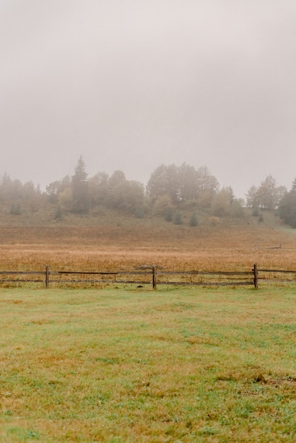 Photo landscape of carpathian mountains