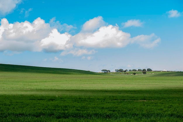 Landscape of the cereal pasture of the eastern mountains  granada