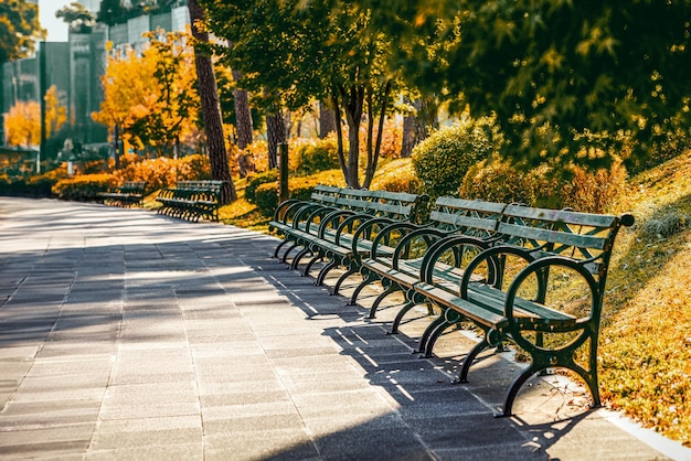 Photo landscape in a city park