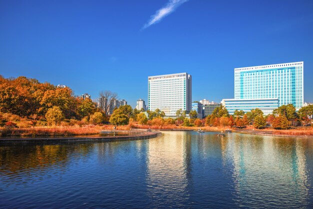 Photo landscape in a city park