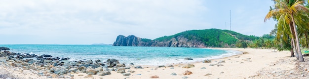 澄んだ海と緑の木々の風景