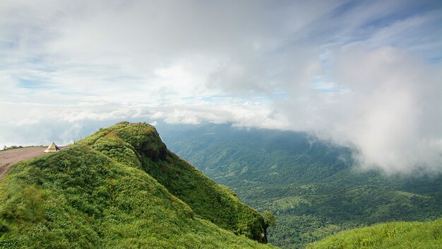 Landscape of the cliff edge and fog