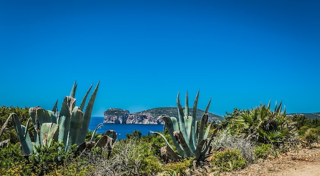 Landscape of the coast of Capo Caccia in Sardinia