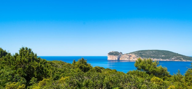 サルデーニャ島のカッチャ岬の海岸の風景