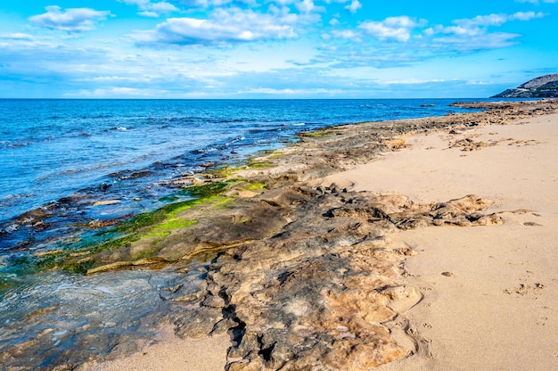 Landscape of the coast in winter