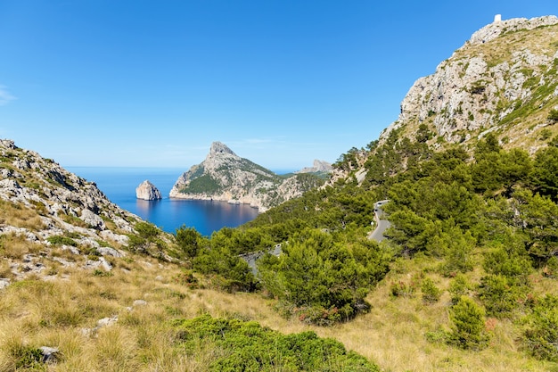 Paesaggio della costa ricoperta di erba verde in primo piano e mare sullo sfondo, baia incantata