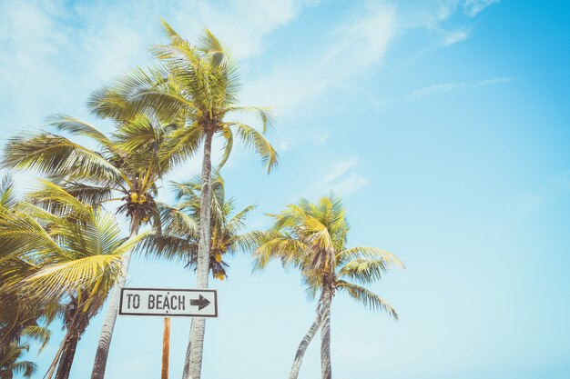 Landscape of coconut palm tree on tropical beach in summer. beach sign for surfing area.