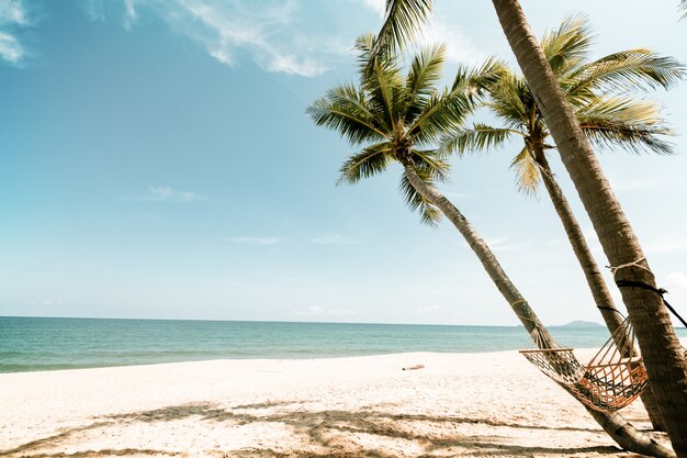 Landscape of coconut palm tree on tropical beach in summer. Summer background concept. vintage color tone