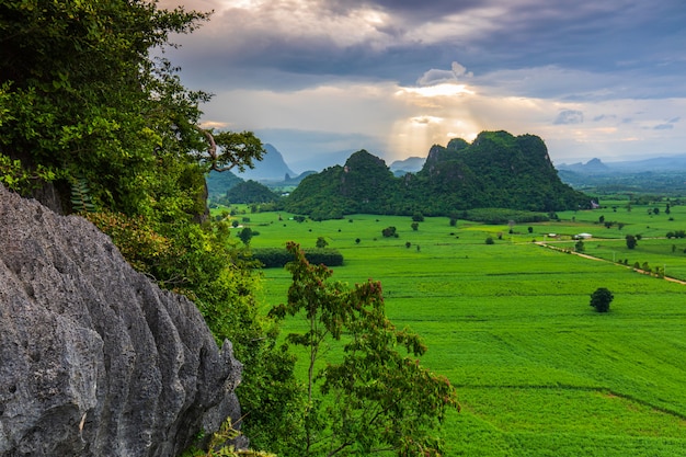 タイの夜の田舎の風景。