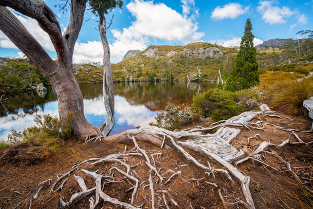 Paesaggio della montagna tasmania, australia della culla.