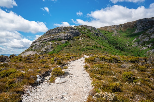 Foto paesaggio della montagna tasmania, australia della culla.