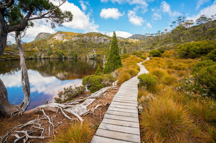 Photo landscape of cradle mountain tasmania, australia.