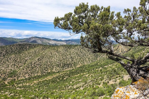 Foto paesaggio delle montagne della crimea sul sentiero golitsyn crimea russia 2021