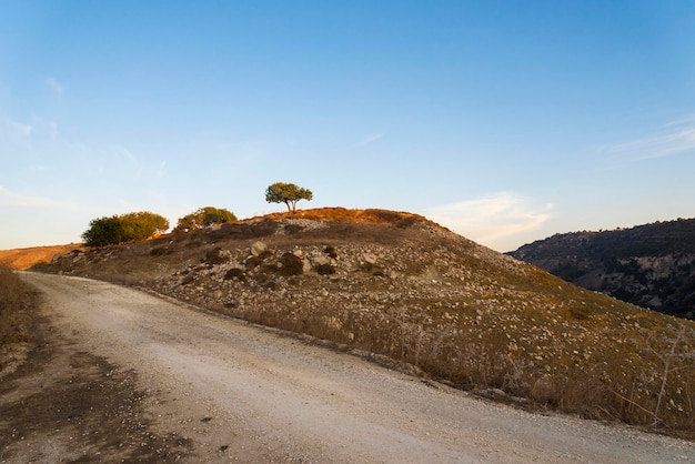 Landscape of Cyprus near Avakas Gorge Wild nature