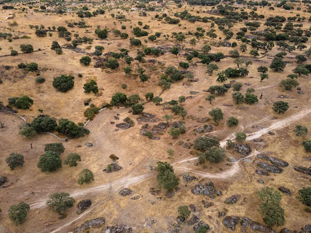 Landscape in Dehesa de la Luz Extremadura Spain