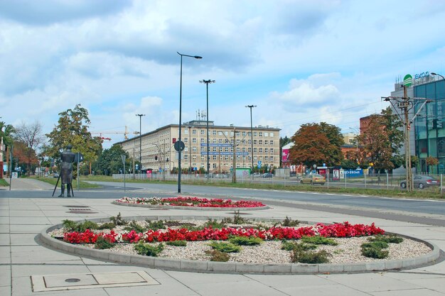 Landscape design in modern city Flowers in city street decoration Beautiful flower beds in city Urban nature in Lodz Floral decoration on town street Beautiful flowerbeds with red flowers