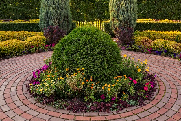 公園のトピアリーアートの木の茂みの花壇のランドスケープデザイン