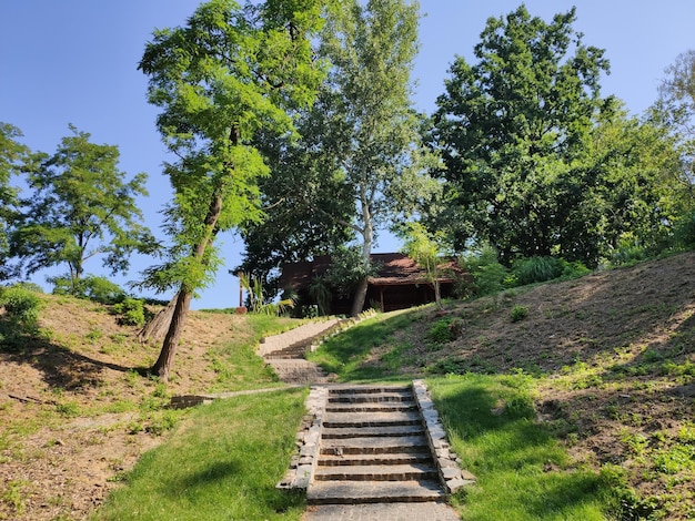 Landscape design in the park with stairs in summer