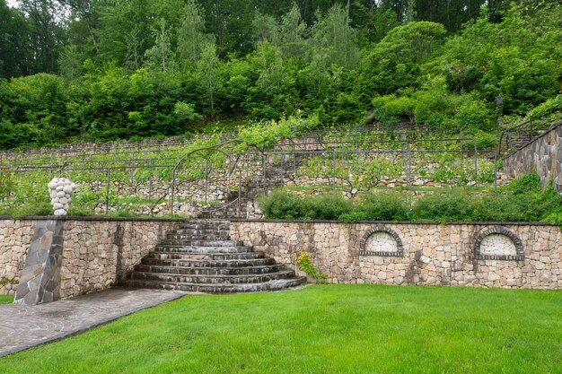 Landscape design. Trees, bushes, green lawns. Beautiful park near the green forest