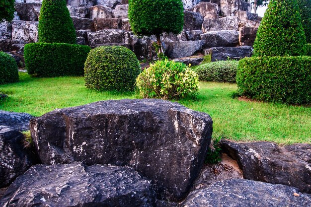 Landscape design in a tropical garden