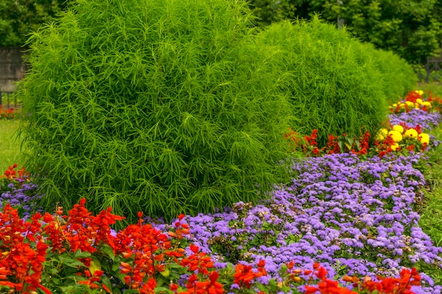 Landscape design with a flower bed and bushes