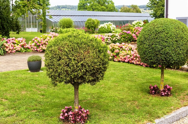 Landscape design with topiary garden at house in Reichenau Island Germany