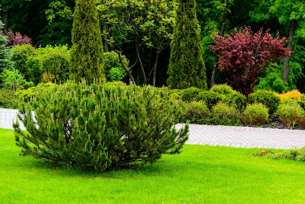 landscape design